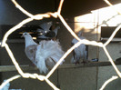 P23-07-11_06.42[4]