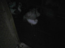 P22-07-11_20.24