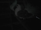 P22-07-11_20.24[1]