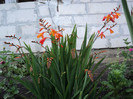 DSC03691