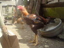 DSC01376