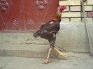 DSC01380