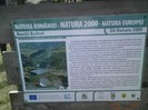 M-tii Rodnei