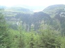 M-tii Rodnei