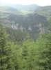 M-tii Rodnei