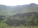 M-tii Rodnei