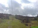 Telescaun Borsa