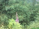 DSC04290
