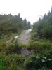 Cascada Cailor