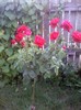 P240711_20.48_[01]