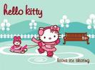 kitty