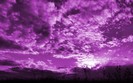 purple_sky_2