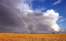 rainbow_wallpaper