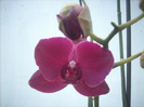 DSCN8596