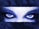 images (8)