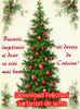 flori frumoase (61)