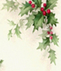 flori frumoase (49)