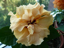 P1340872