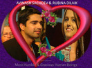 avinash-si-rubina-in-us_135ba2bb2adde4