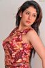 sameeksha-flowers-dress-ragalahari-ps8t