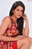 sameeksha-flowers-dress-ragalahari-ps41t