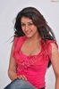 sameeksha-pink-ragalahari-photosession29t