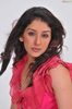 sameeksha-pink-ragalahari-photosession42t