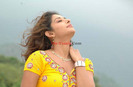zaara16
