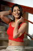 zaara21