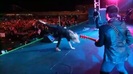 The Black Star Tour South America Trailer 194