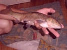 CIMG0236