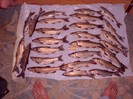 CIMG0246