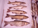 CIMG0311