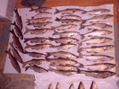CIMG0312