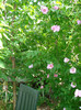 DSC00838