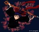 images (31)