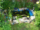 DSC00910