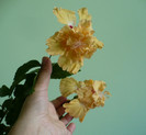 P1340954