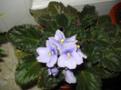DSC09920