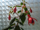 DSC09779