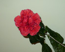 P1340958