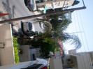 SANY0055