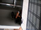 SANY0248