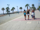 SANY0264