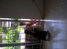 SANY0456