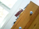 SANY0473