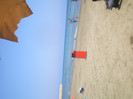 SANY0661