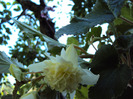 DSC02867