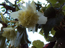 DSC02868