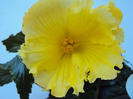 DSC02875